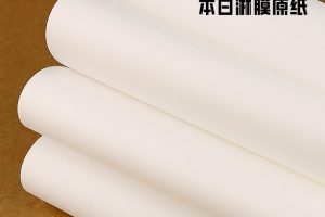 本白淋膜原纸